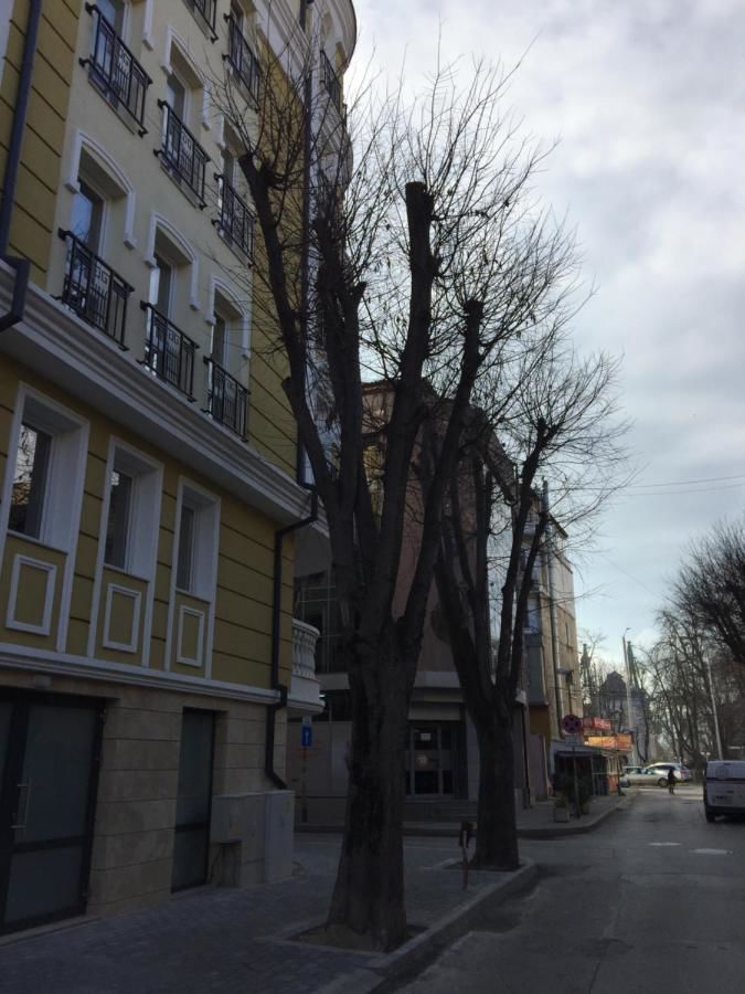 Отель Art Green Boutique Hotel Варна-48