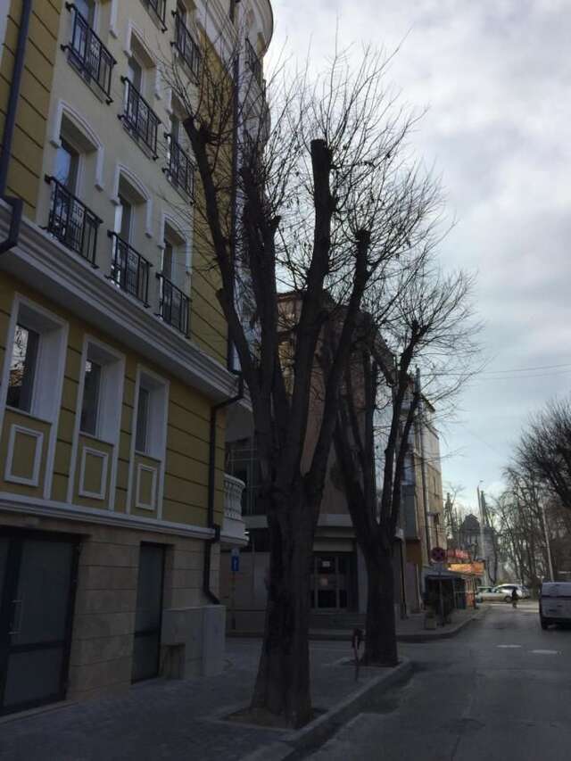 Отель Art Green Boutique Hotel Варна-47